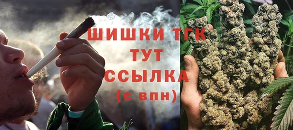 хмурый Богородицк