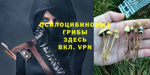 экстази Снежногорск